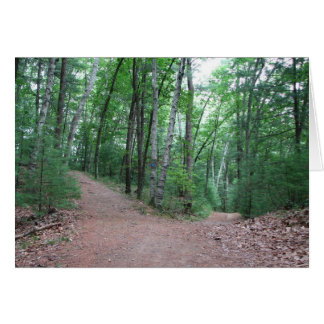 Deux Routes Divergées Dans Un Bois Jaune