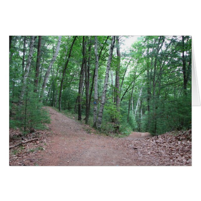 Deux Routes Divergées Dans Un Bois Jaune (Devant horizontal)