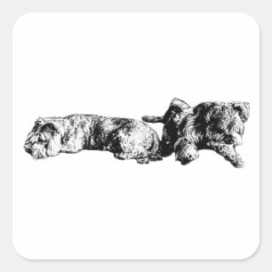 Deux Schnauzers – Autocollant de chien noir et bla