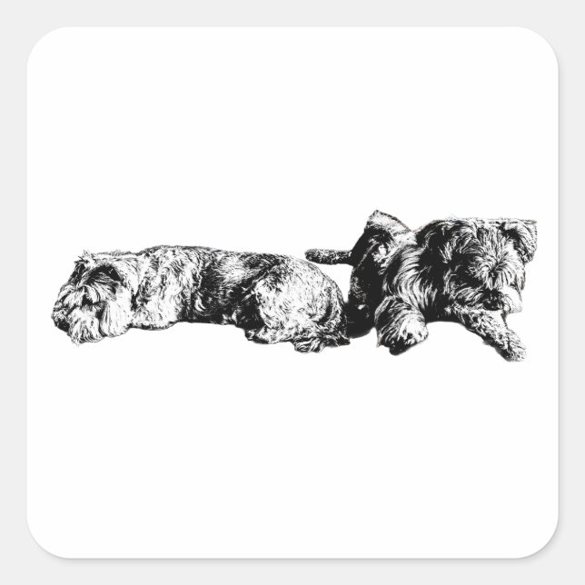 Deux Schnauzers – Autocollant de chien noir et bla (Devant)