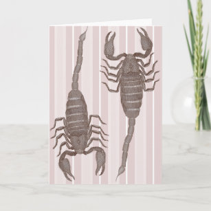Deux scorpions - Carte d'anniversaire pour Scorpio