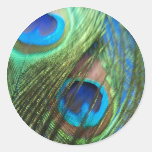 Deux Stickers Peacock Bleu Plumes (Devant)