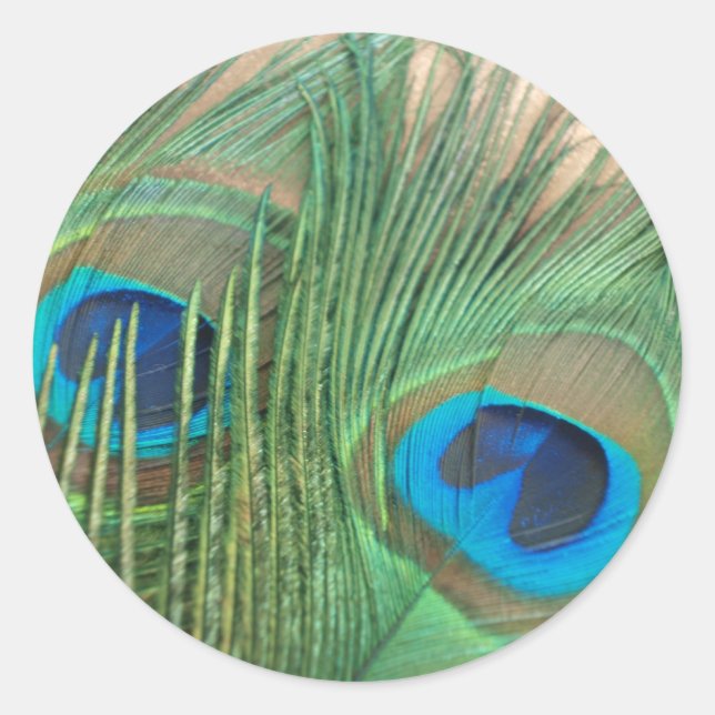 Deux Stickers Plume Peacock Or (Devant)