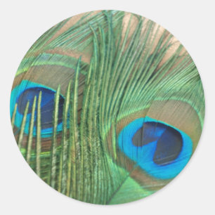 Deux Stickers Plume Peacock Or