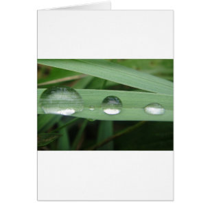 Déversement d'eau sur la lame d'herbe