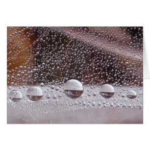 Dew Drop Yin Yang Carte Nature Paisible Avec Poème