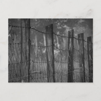 Dewwebs sur carte postale Barbed Wire
