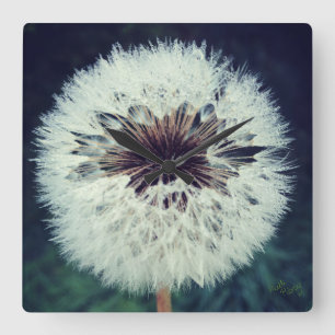 Dewy Dandelion Horloge ...Horloge!