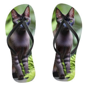 Dexter le chat siamois noir, tongs