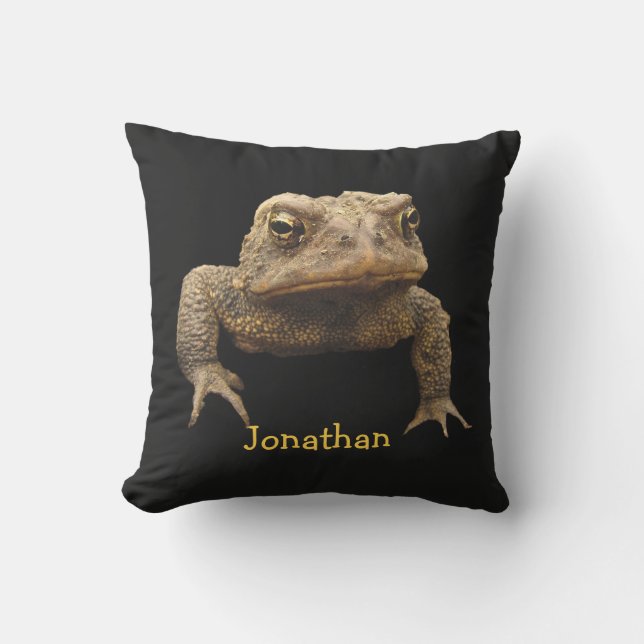 D'extérieur American Toad Animal Brown Black Coussin extérieur (Recto)