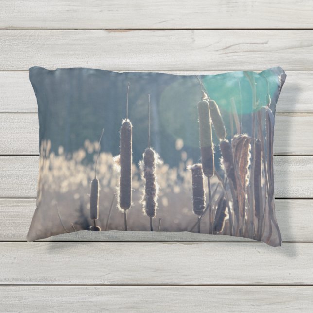D'extérieur Cattails dans le Coussin Sun 16 X 12 (Dos)