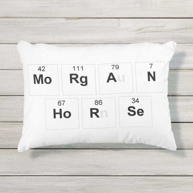 D'extérieur Coussin de cheval de Morgan (Devant)