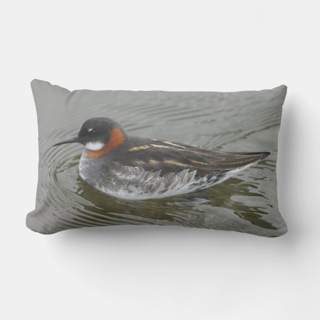 D'extérieur Coussin de Phalarope à cou rouge par RoseWrites (Recto)