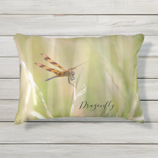 D'extérieur Coussin de photo de libellule (Devant)