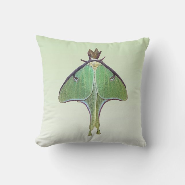 D'extérieur Coussin extérieur animal de vert de mite de Luna (Recto)