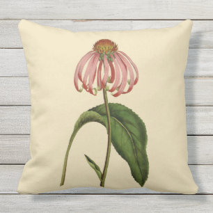 D'extérieur Coussin extérieur botanique rose 20" de Coneflowe