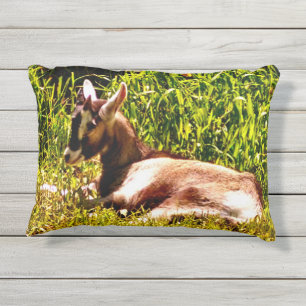 D'extérieur Coussin extérieur de chèvre de bébé de deux im