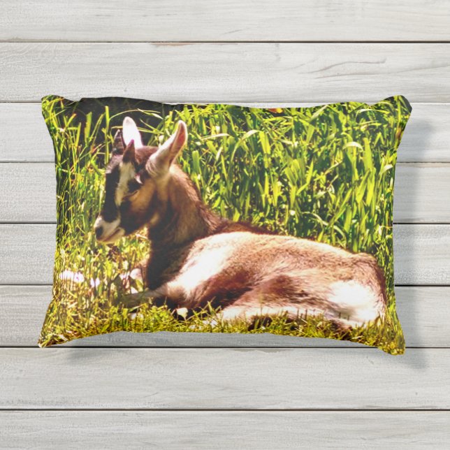 D'extérieur Coussin extérieur de chèvre de bébé de deux images (Dos)