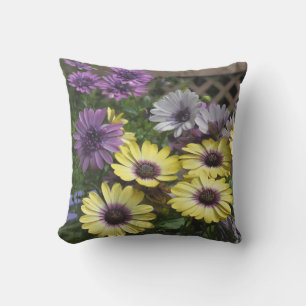 D'extérieur Coussin extérieur de marguerites africaines jaunes