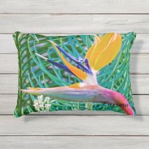 D'extérieur Coussin extérieur, oiseau de conception de paradi