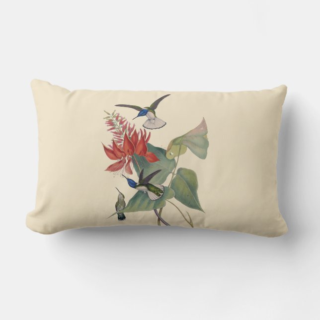 D'extérieur Coussin lombaire extérieur d'haricot de corail de (Recto)