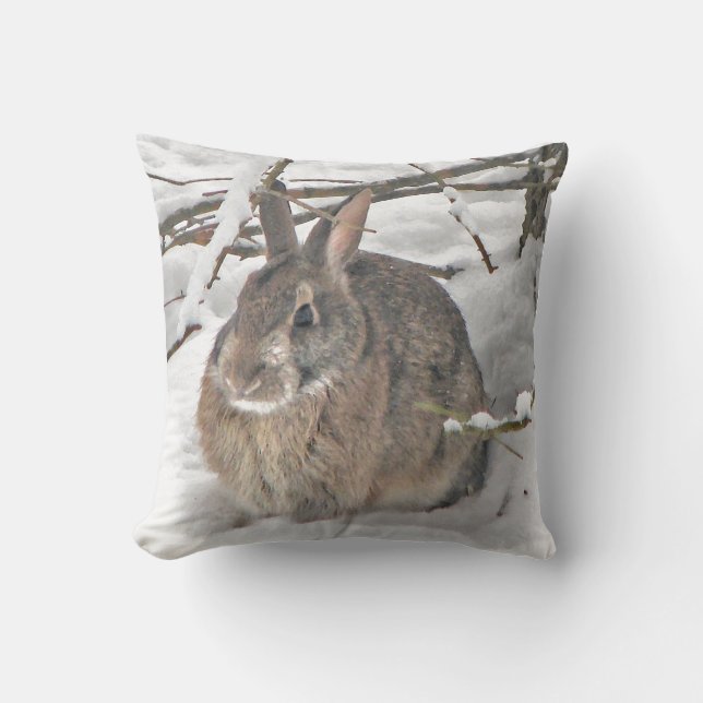 D'extérieur Lapin Brown dans le coussin extérieur de neige (Recto)
