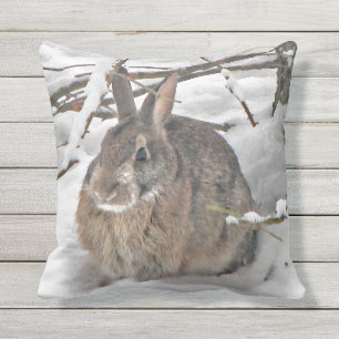 D'extérieur Lapin Brown dans le coussin extérieur de neige