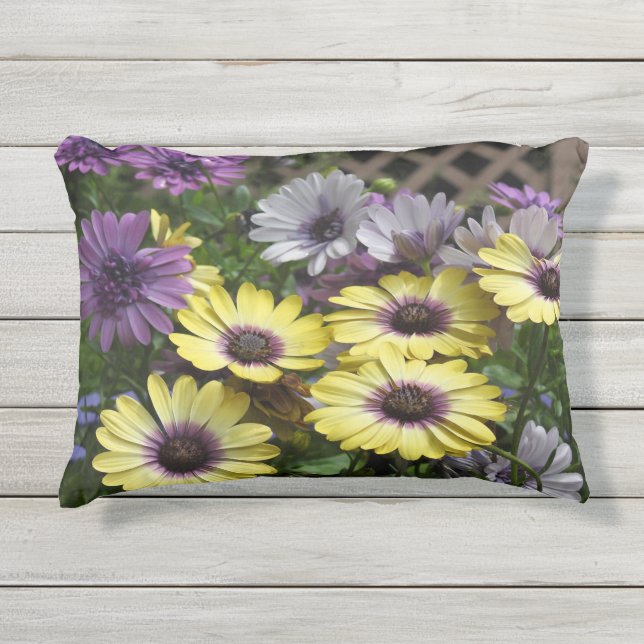 D'extérieur Marguerite africaine jaune et violet Coussin extér (Devant)