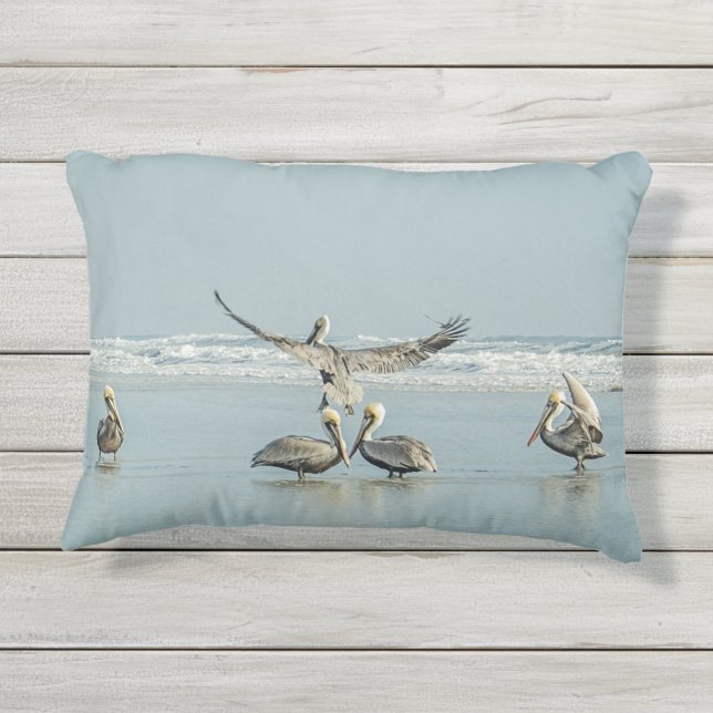 D'extérieur Pelicans Beach Océan Bleu Extérieur Accent Coussin (Dos)