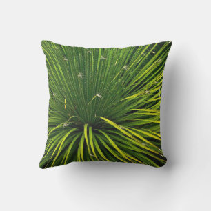 D'EXTÉRIEUR PLANTE SOTOL VERT / COUSSIN EXTÉRIEUR