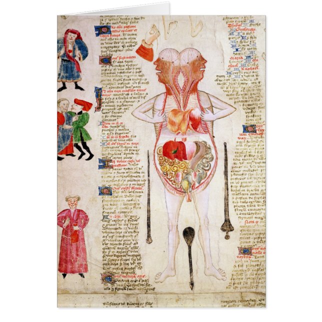 Diagramme anatomique (Devant)