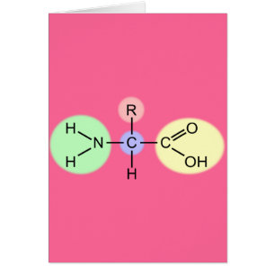 Diagramme d'acide aminé