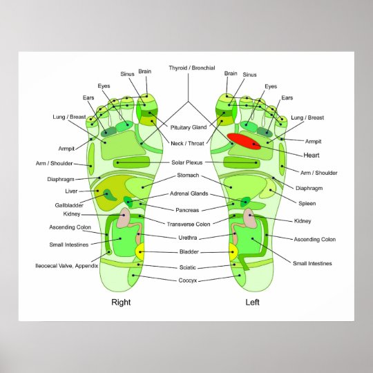 Diagramme de digitopuncture de pied poster