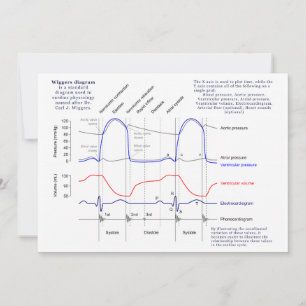 Diagramme de Wiggers