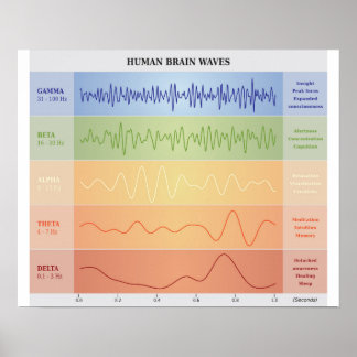 Diagramme des vagues cérébrales humaines - Poster