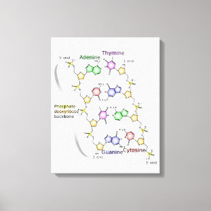 Diagramme sur toile de la structure chimique de l'