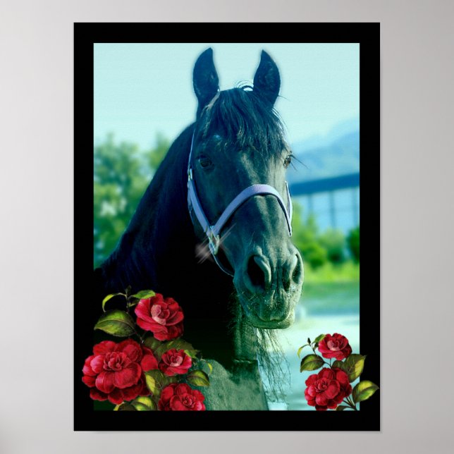 DIAMOND Portrait - Poster (Devant)