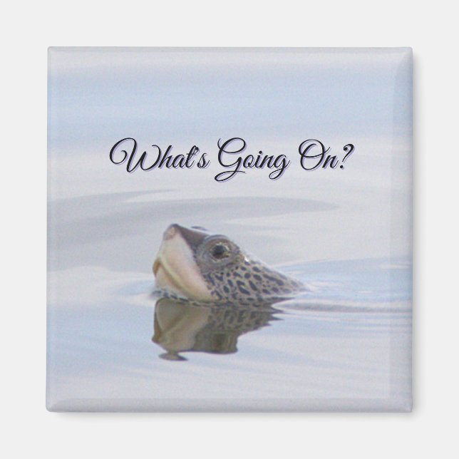 Diamondback Terrapin Turtle Face Magnet (Devant)