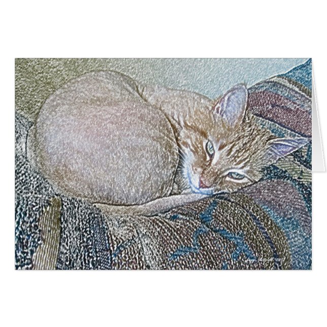 Dickens (Devant horizontal)