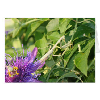 Dieu est dans les détails