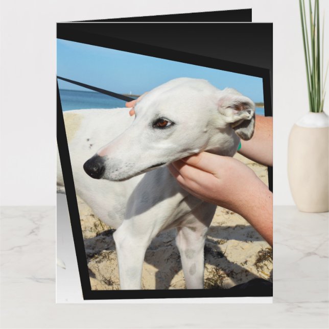 Dimensions Greyhound Grande carte de voeux (Devant)
