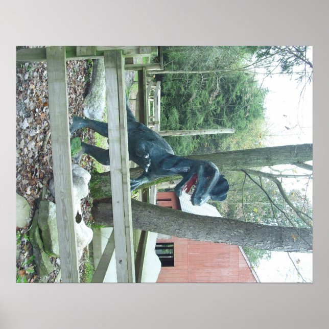 Dinasaur Poster (Devant)