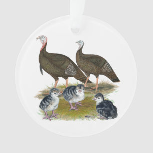 Dindes Famille Sauvage de l'Est