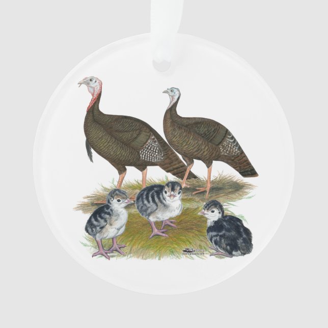 Dindes Famille Sauvage de l'Est (devant)