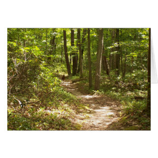 dindons sur le sentier appalachien