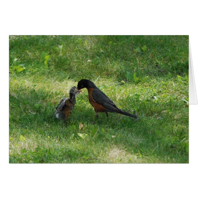 Dîner ! (Devant horizontal)