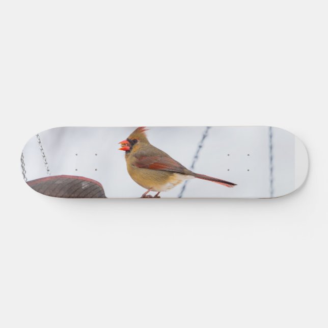 Dîner cardinal femme Heure Skateboard (Horz)