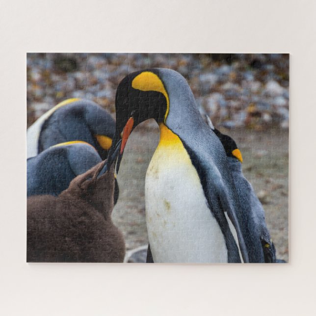 Dîner de pingouins en famille, puzzle (Horizontal)