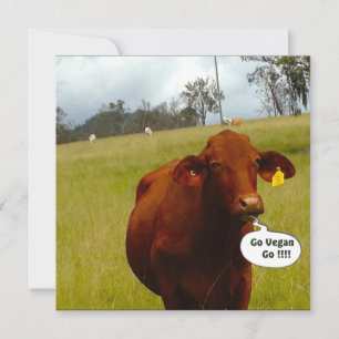 Dîner Vegan invitation