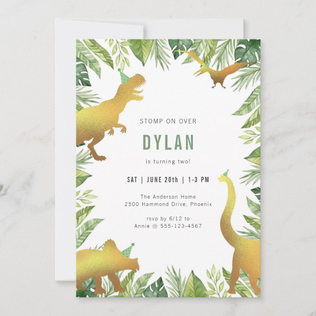 Dinosaur Kids Birthday Invitation (Devant)